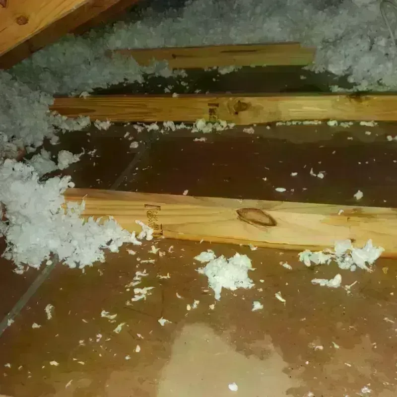 Attic Water Damage in Putnam County, GA