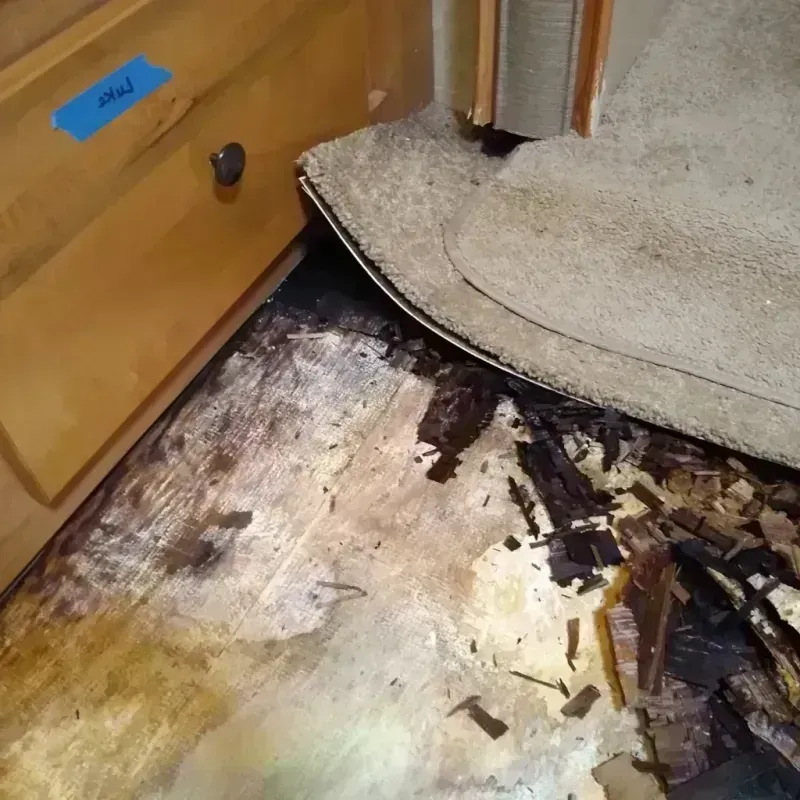 Wood Floor Water Damage in Putnam County, GA